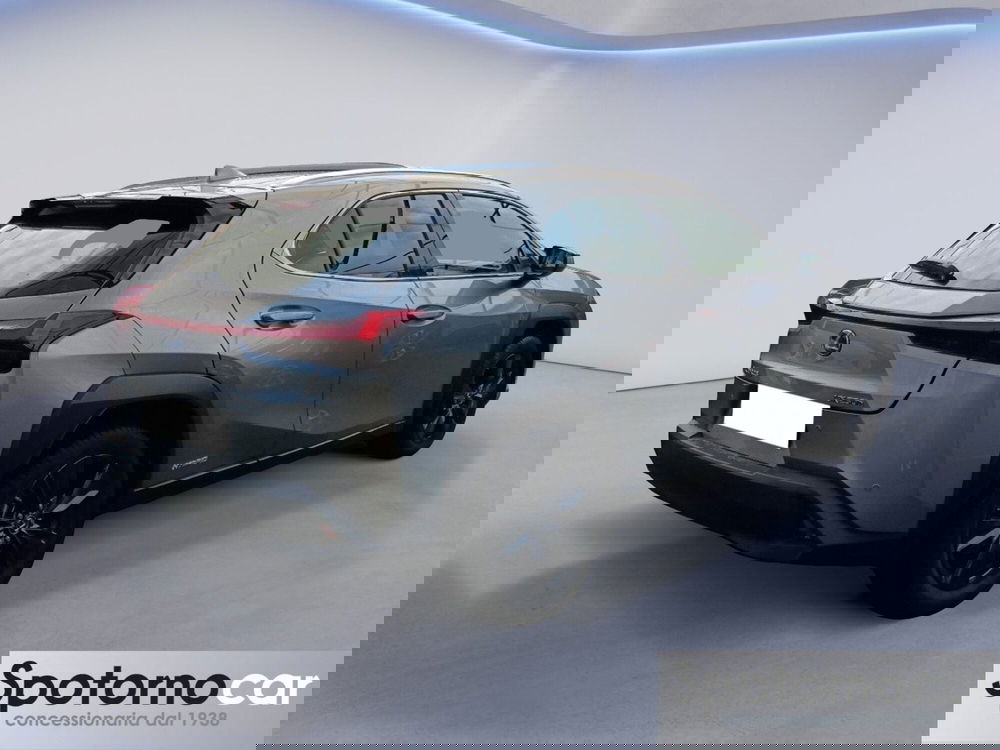 Lexus UX usata a Milano (19)