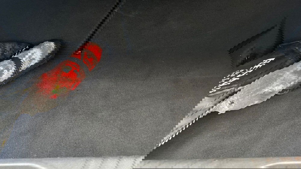 Renault Clio usata a Parma (19)