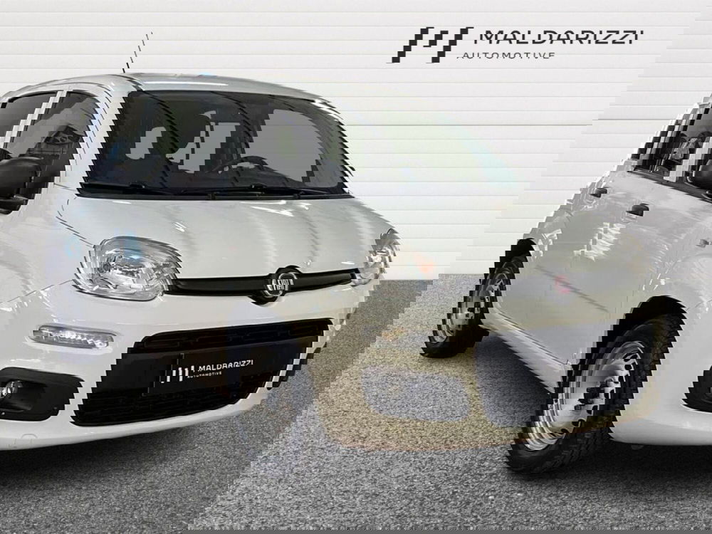 Fiat Panda usata a Matera