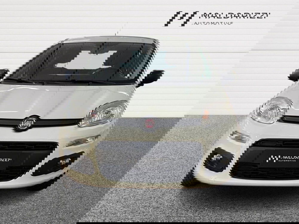 Fiat Panda usata a Matera (2)