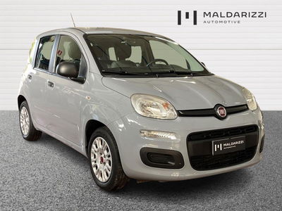 Fiat Panda 1.0 firefly hybrid s&amp;s 70cv del 2022 usata a Matera