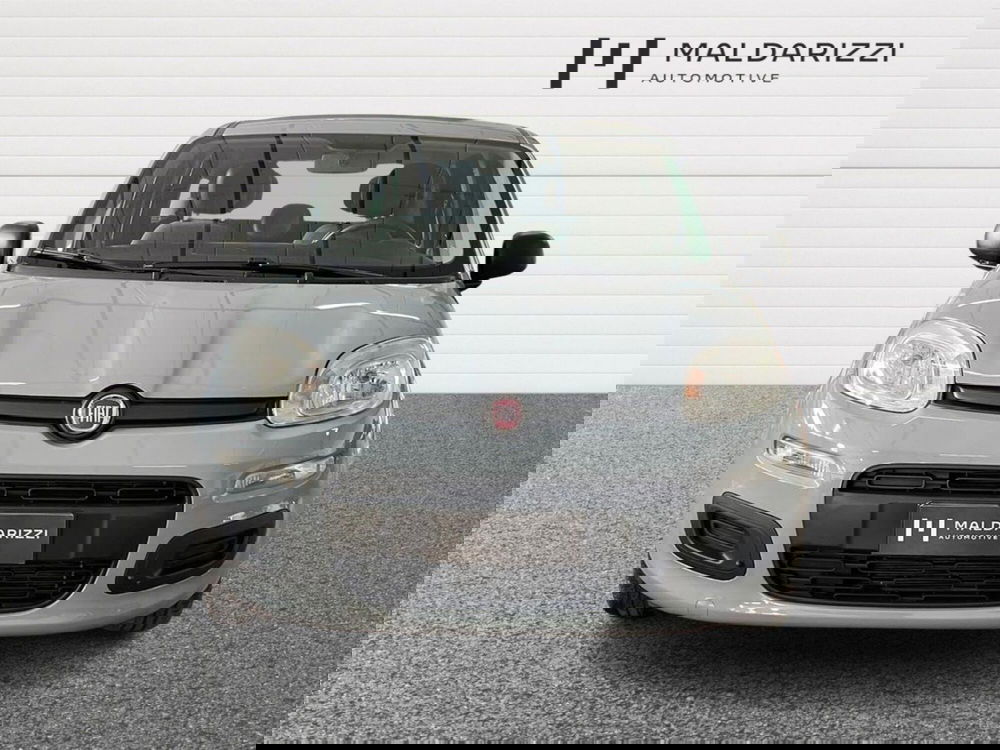 Fiat Panda usata a Matera (2)