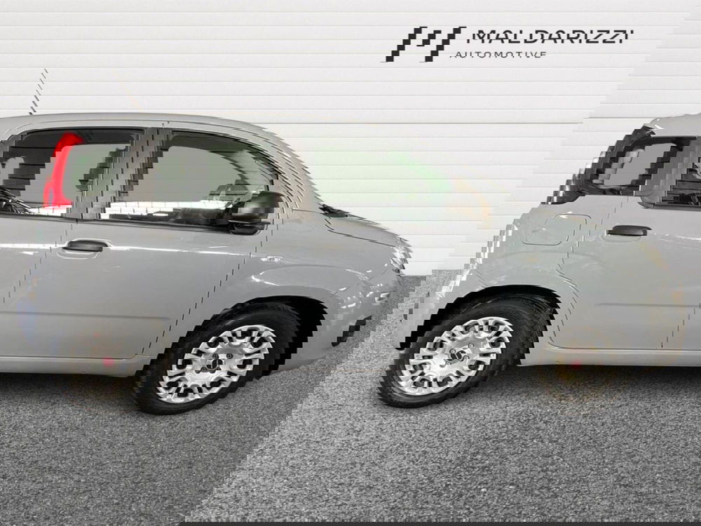 Fiat Panda usata a Matera (5)