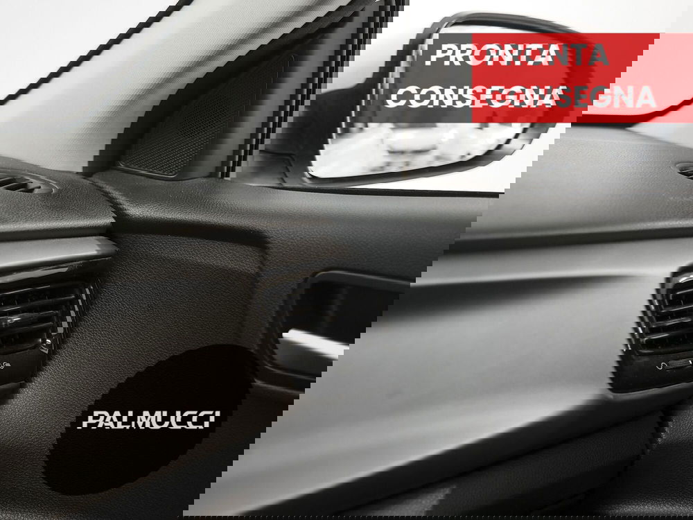 Kia Rio usata a Prato (15)