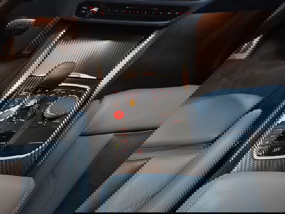 BMW Serie 4 Coupé usata a Caserta (19)