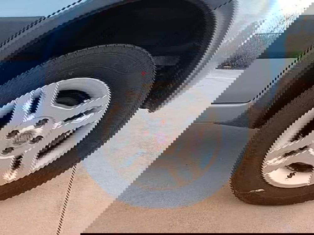 Fiat Panda usata a Siena (19)