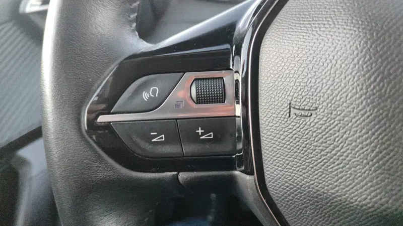 Peugeot 2008 usata a Firenze (16)