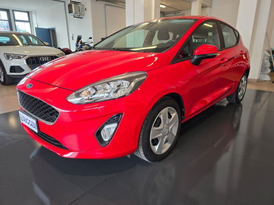 Ford Fiesta 1.1 75 CV GPL 5 porte del 2020 usata a Rimini