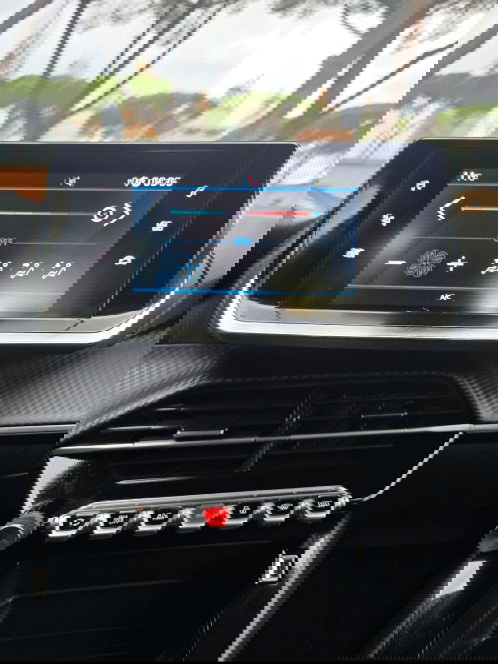 Peugeot 208 usata a Massa-Carrara (20)