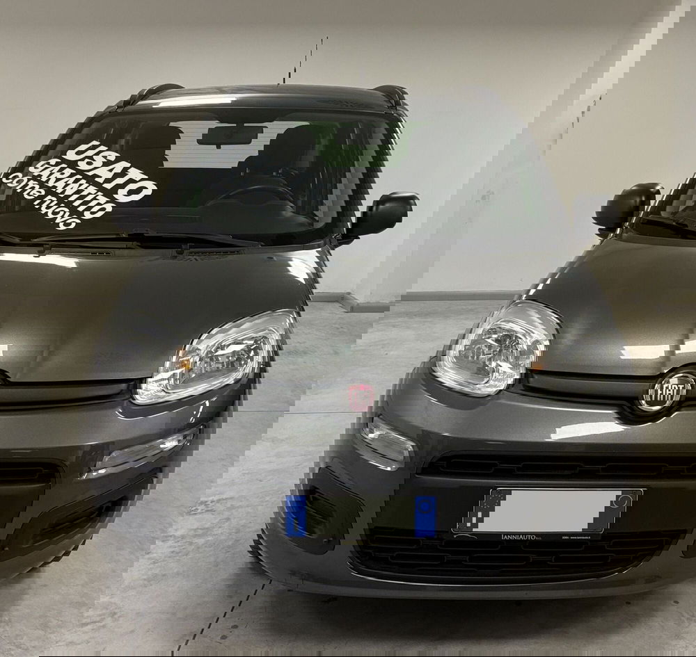 Fiat Panda usata a Frosinone