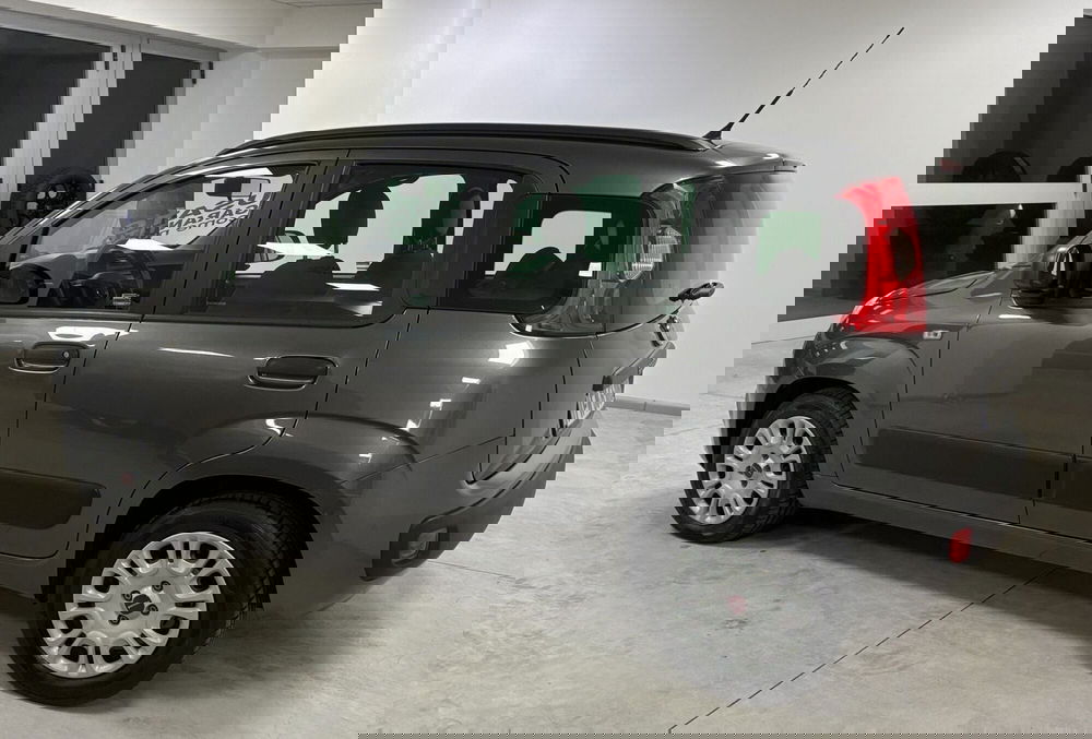 Fiat Panda usata a Frosinone (3)