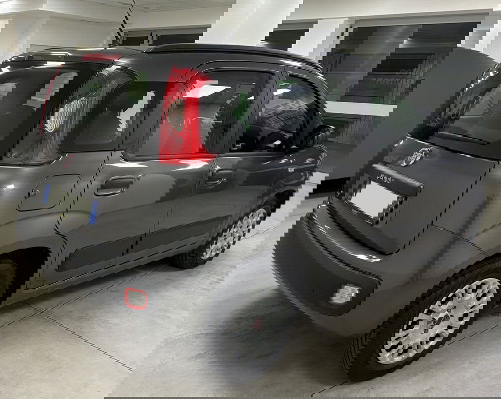 Fiat Panda usata a Frosinone (4)