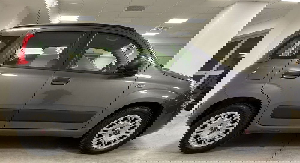 Fiat Panda usata a Frosinone (5)