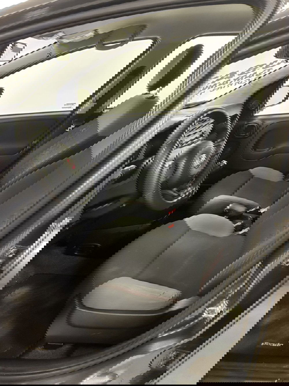 Fiat Panda usata a Frosinone (8)