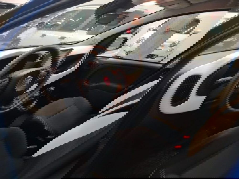 Fiat Panda usata a Forlì-Cesena (20)