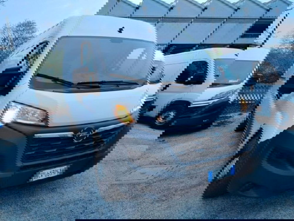 Opel Movano Furgone usata a Forlì-Cesena (2)