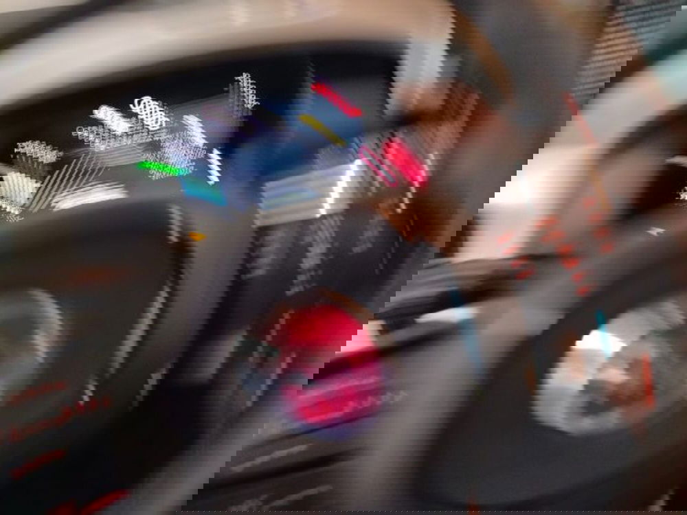 Fiat Panda usata a Forlì-Cesena (18)