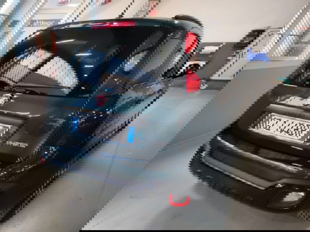 Fiat Panda usata a Forlì-Cesena (7)