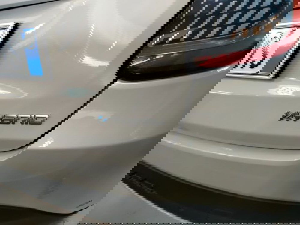 Fiat 600 usata a Forlì-Cesena (11)