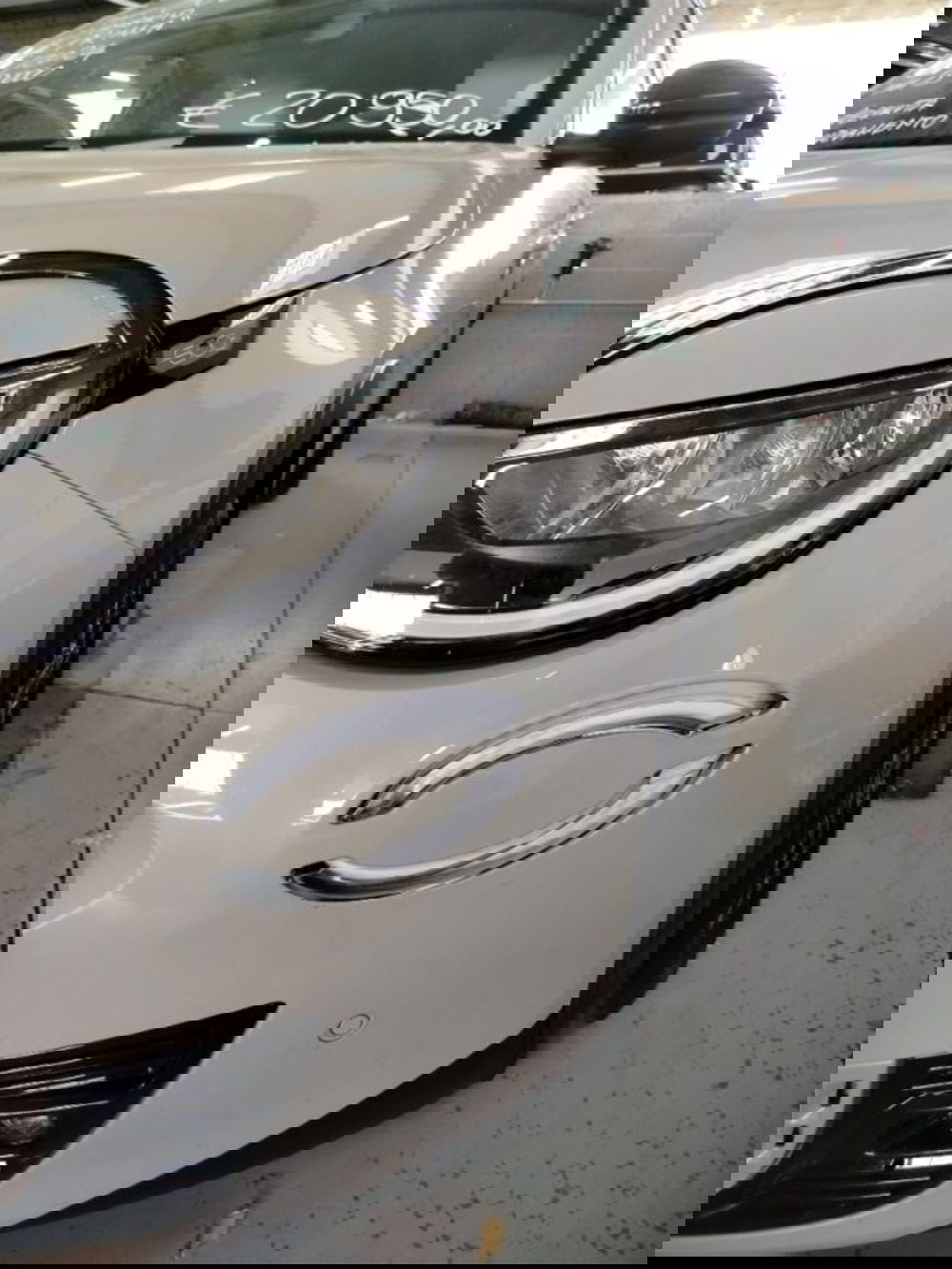 Fiat 600 usata a Forlì-Cesena (6)