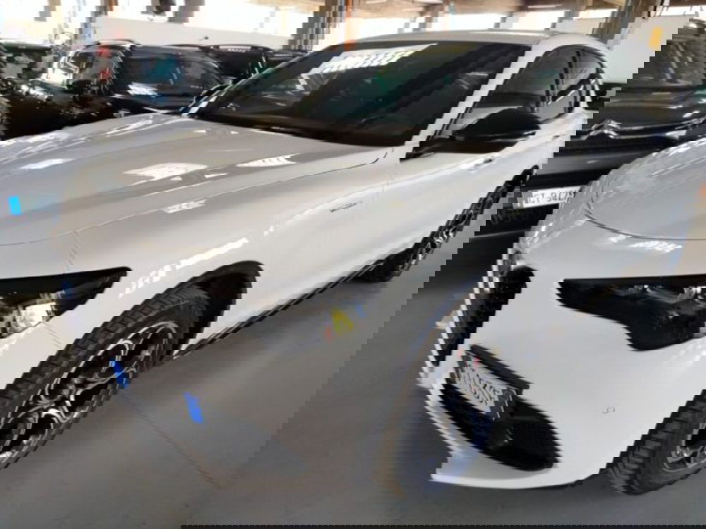 Alfa Romeo Stelvio usata a Forlì-Cesena (15)