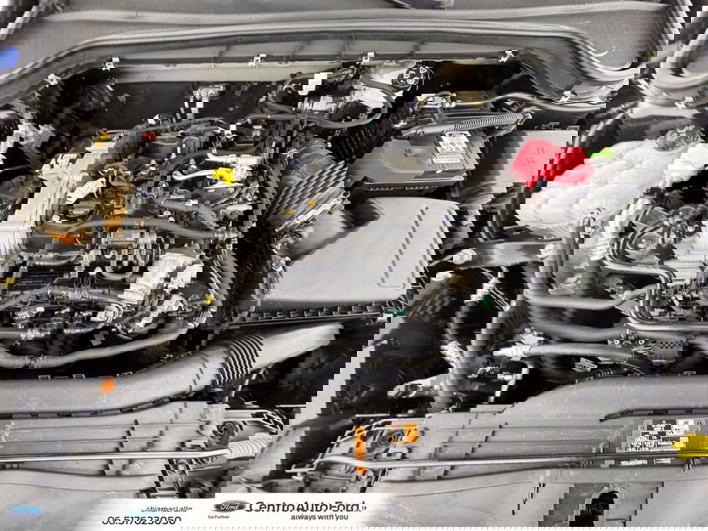 Ford Focus usata a Roma (12)