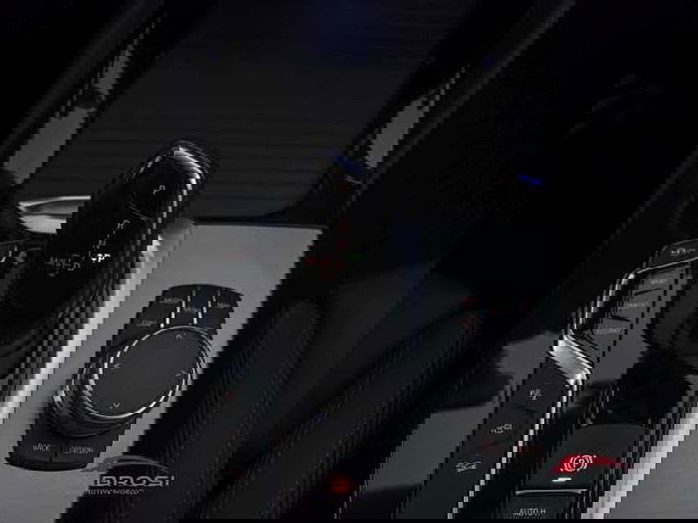 BMW X4 usata a Viterbo (20)