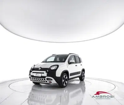 Fiat Panda Cross 1.0 firefly hybrid Cross s&amp;s 70cv 5p.ti del 2024 usata a Corciano