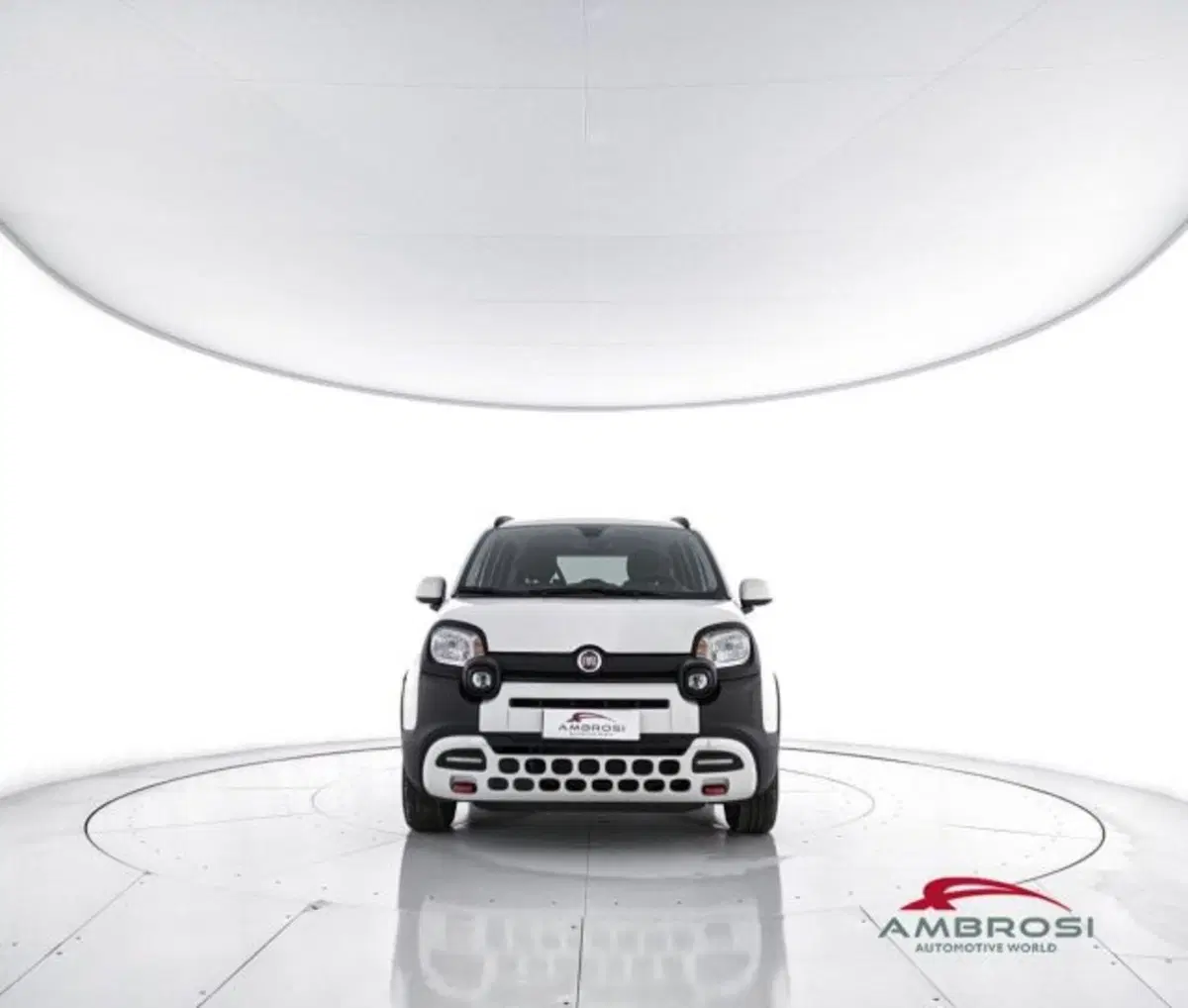 Fiat Panda Cross usata a Perugia (5)