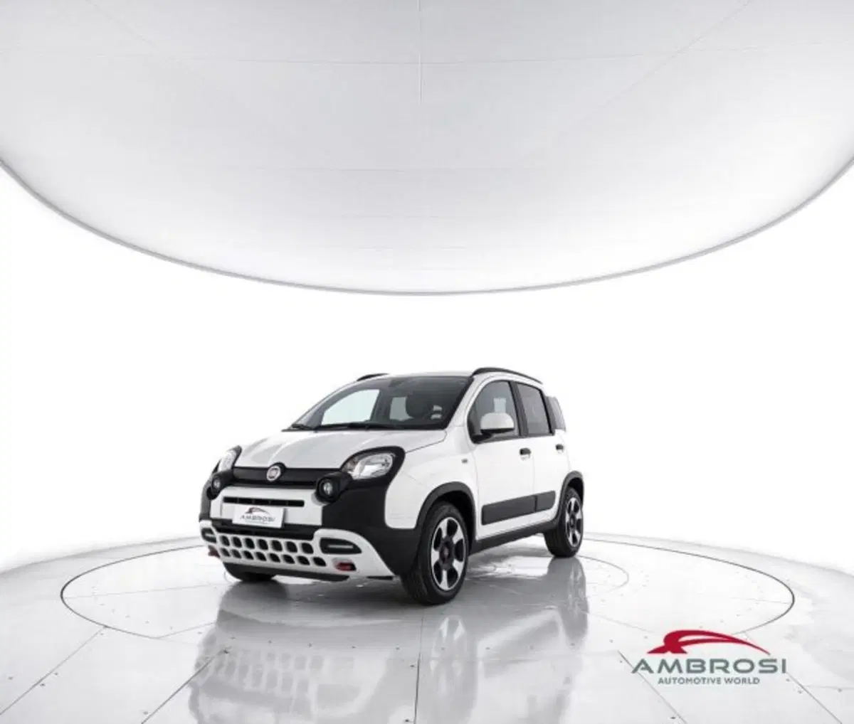 Fiat Panda Cross usata a Perugia