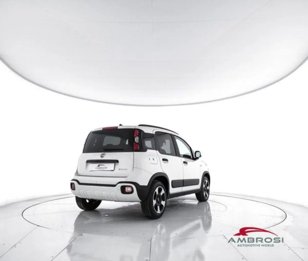 Fiat Panda Cross usata a Perugia (3)