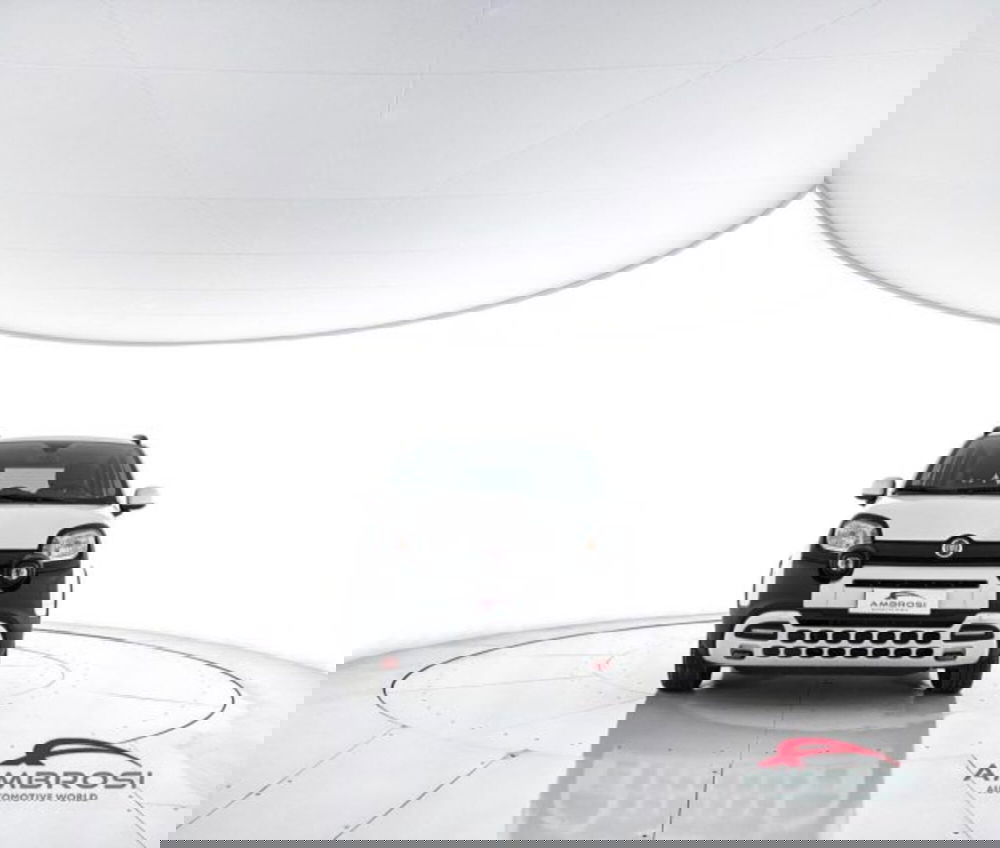 Fiat Panda Cross usata a Perugia (5)