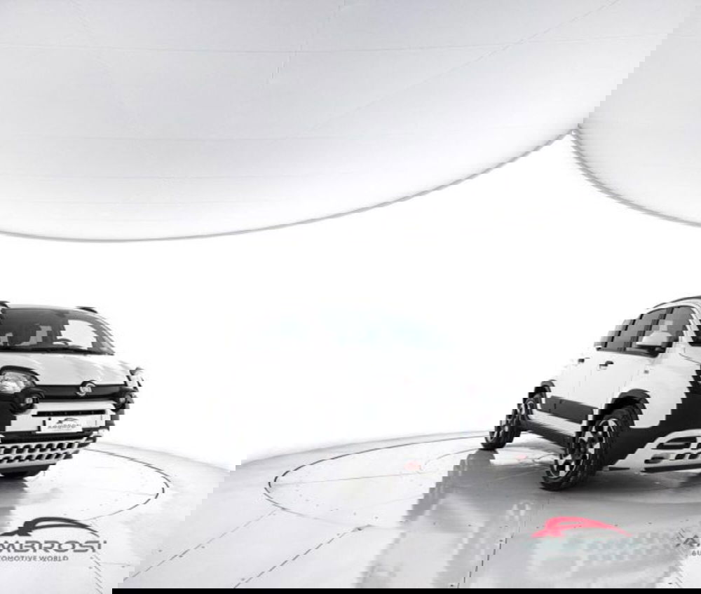 Fiat Panda Cross usata a Perugia (2)