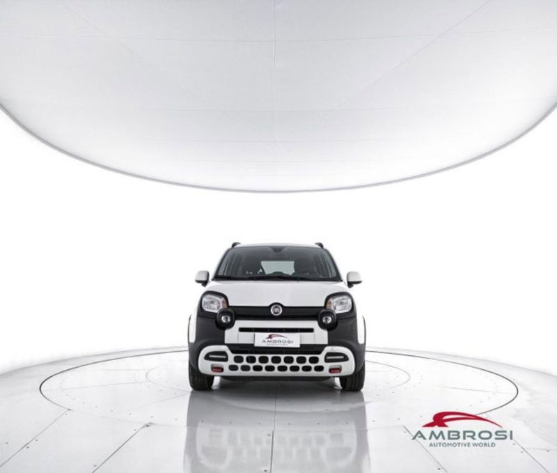 Fiat Panda Cross usata a Perugia (5)