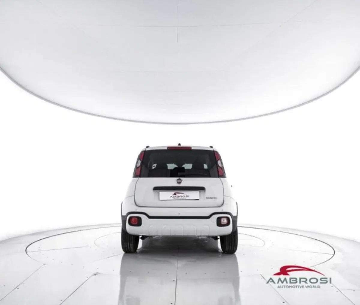 Fiat Panda Cross usata a Perugia (6)