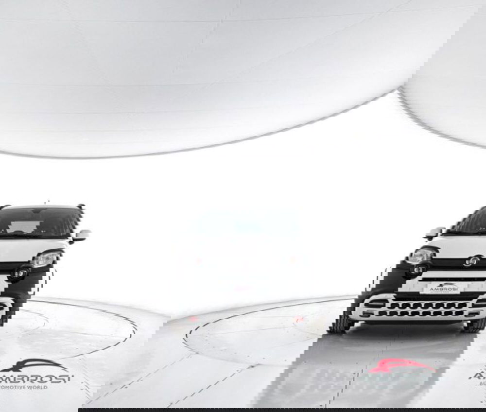 Fiat Panda Cross usata a Perugia (5)