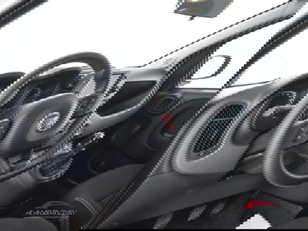 Fiat Panda Cross usata a Perugia (8)