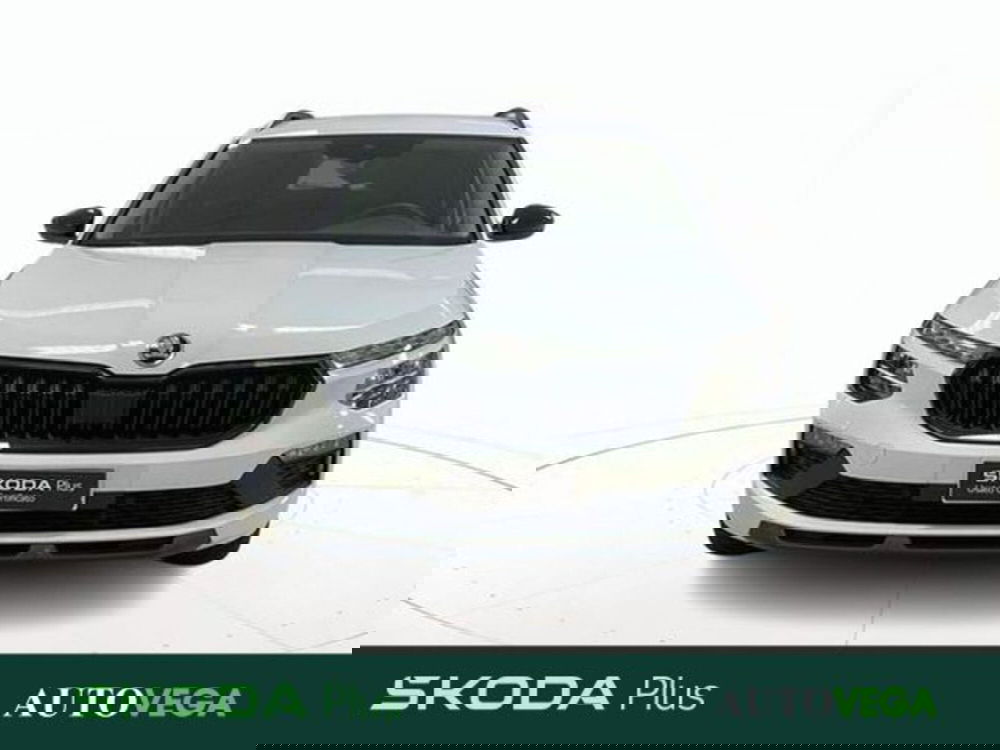 Skoda Kamiq usata a Vicenza (2)