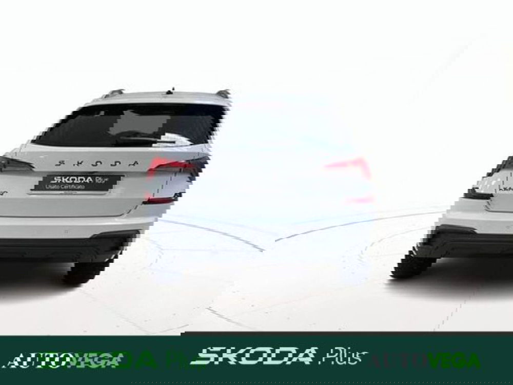 Skoda Kamiq usata a Vicenza (5)