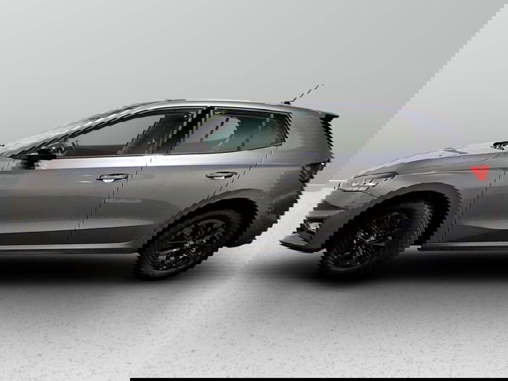 Skoda Fabia usata a Padova (2)