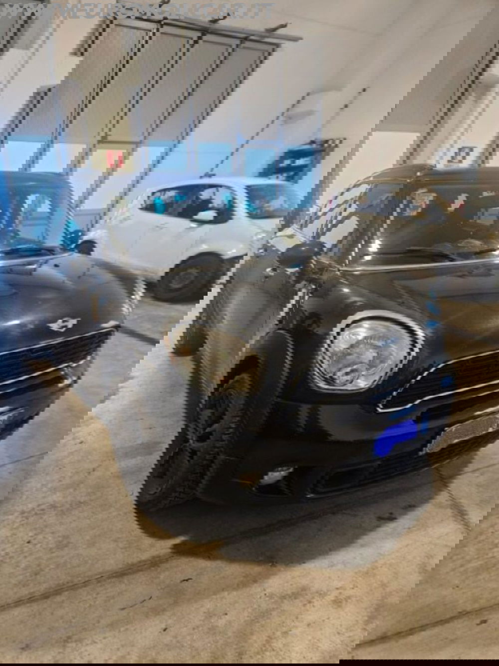 MINI Mini Countryman usata a Campobasso