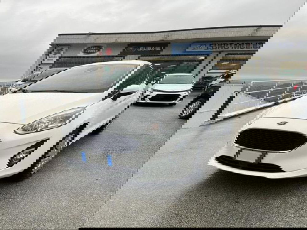 Ford Fiesta usata a Campobasso (8)