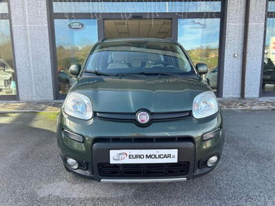 Fiat Panda 1.3 MJT S&amp;S 4x4 del 2012 usata a Campodipietra