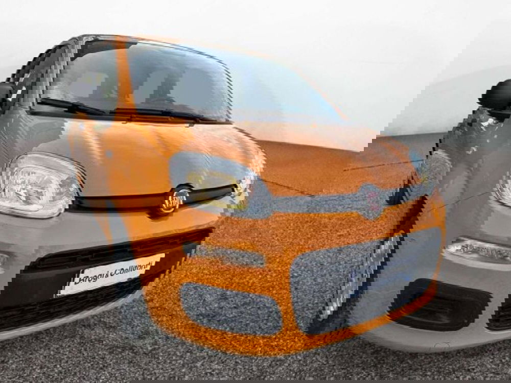 Fiat Panda usata a Firenze