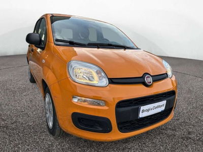 Fiat Panda 1.0 firefly hybrid s&amp;s 70cv 5p.ti del 2021 usata a Empoli