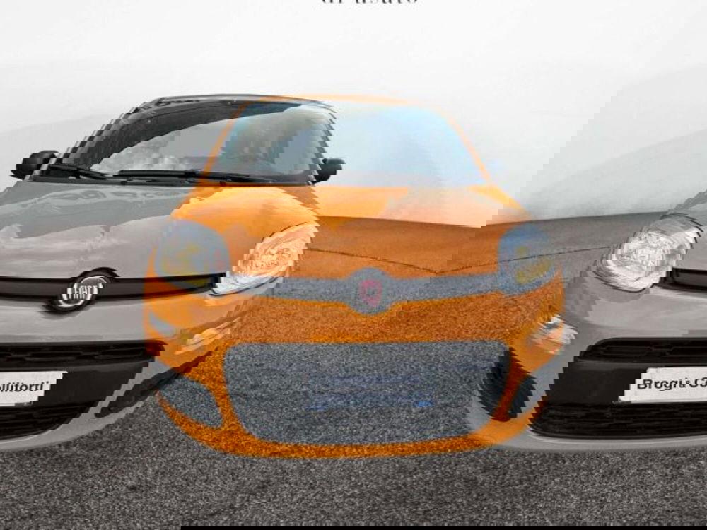 Fiat Panda usata a Firenze (2)