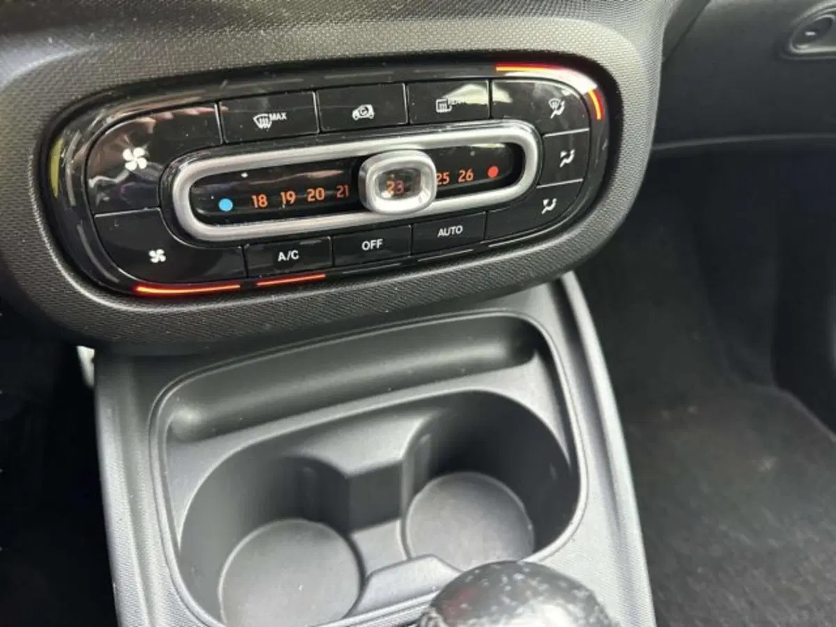 smart forfour usata a Firenze (14)
