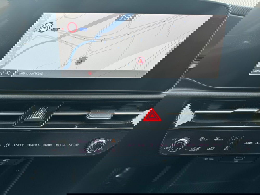 Kia Niro usata a Cosenza (6)