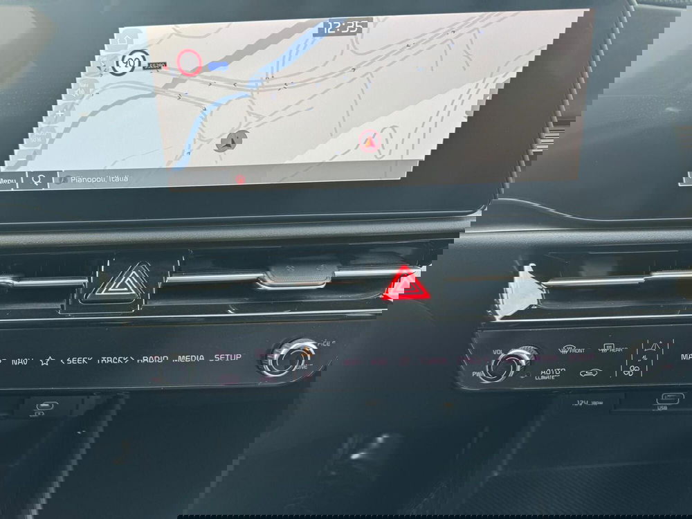 Kia Niro usata a Cosenza (9)