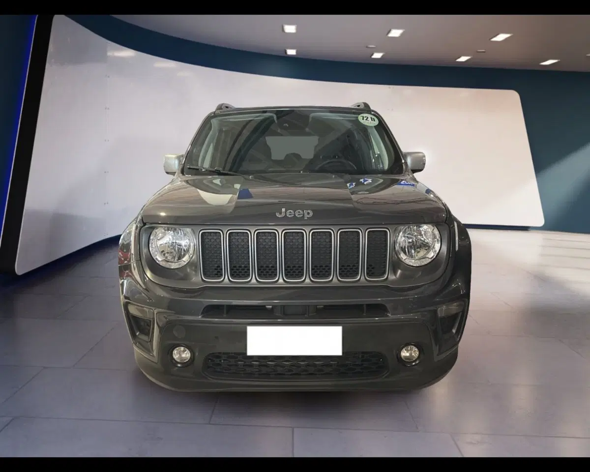 Jeep Renegade usata a Torino